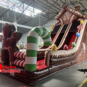 20ft Christmas Dual Lane Slide