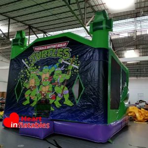 Ninja Turtles Bouncy Inside Slide 15ft x 15ft